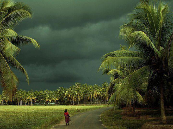 Готель Oceana Hills Residency Alappuzha Екстер'єр фото