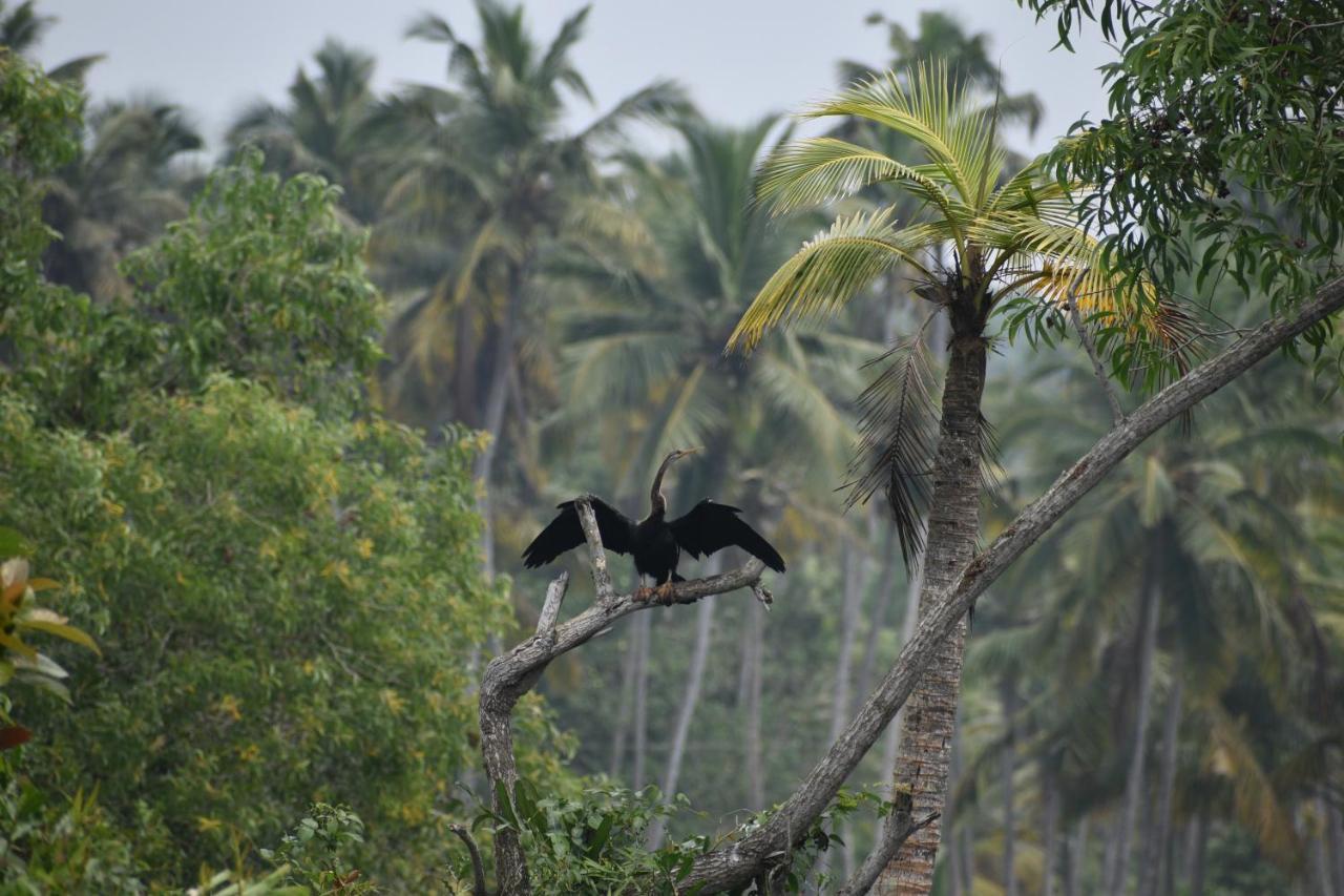 Готель Oceana Hills Residency Alappuzha Екстер'єр фото